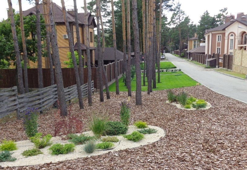 Green Wood club