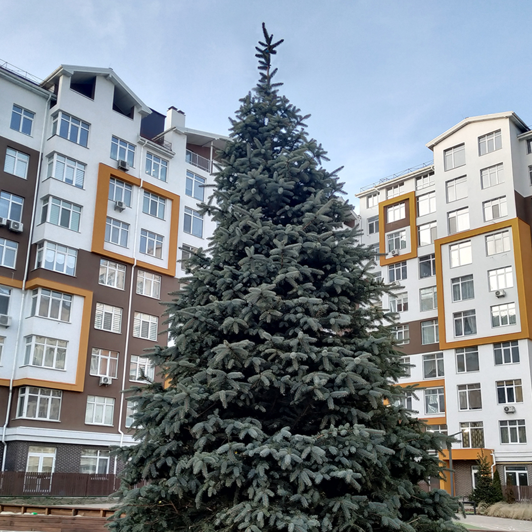 ЖК Orange Park