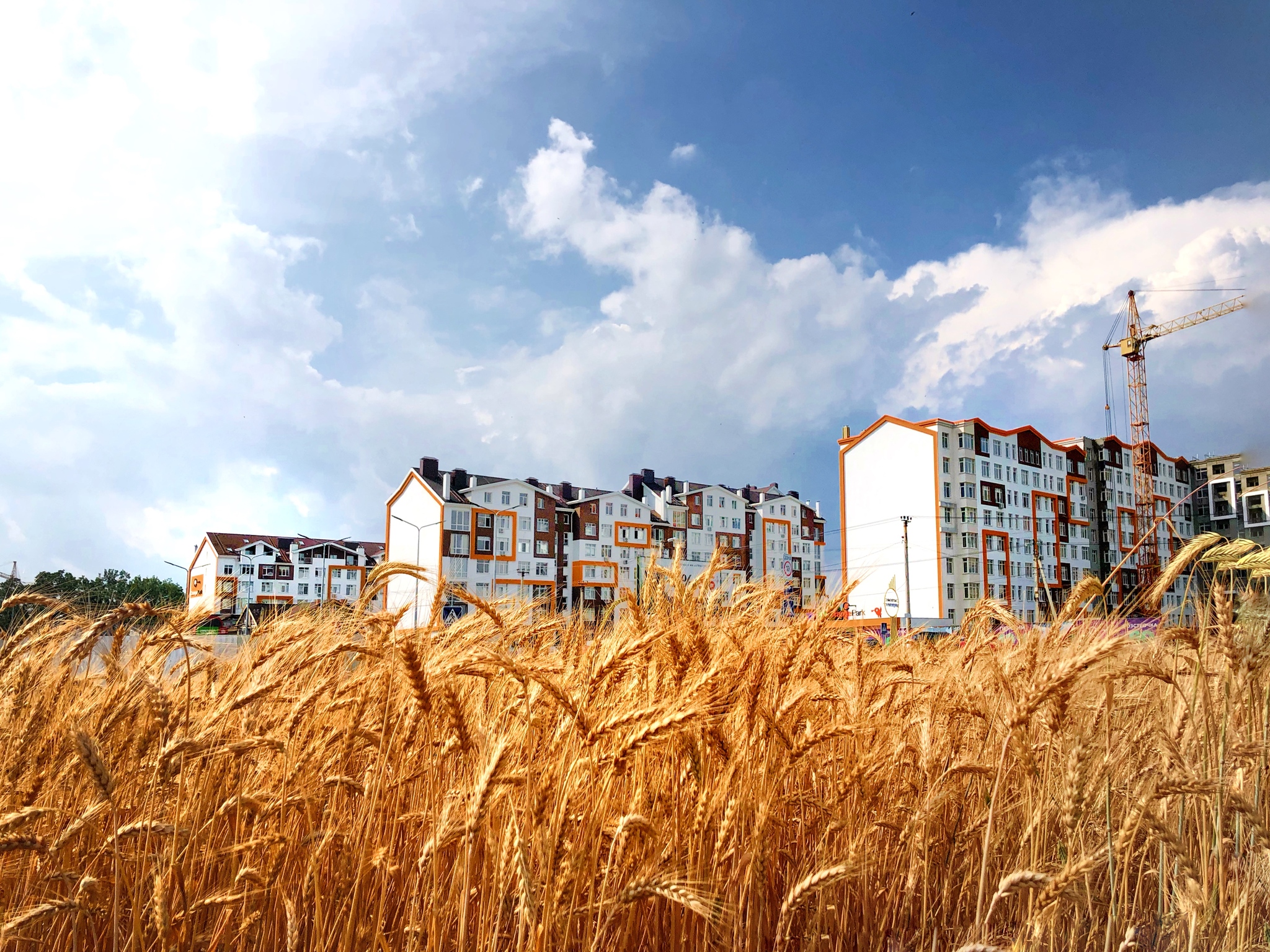 ЖК Orange Park