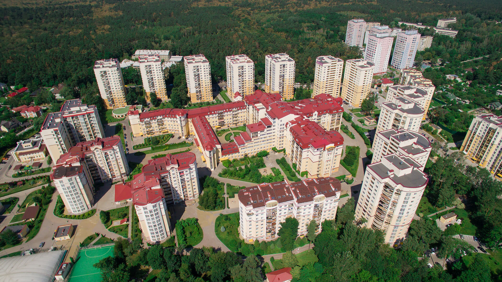 Чайка