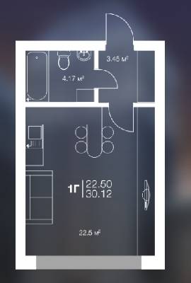 1-кімнатна 30.12 м² в ЖК Irpin City від 11 000 грн/м², м. Ірпінь