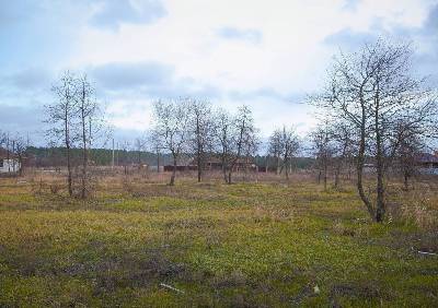 КП Лесная Пристань