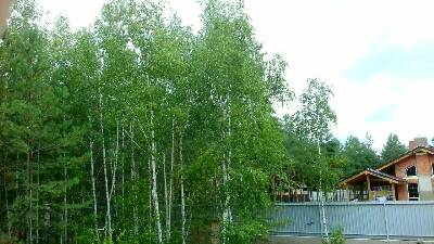 Участки в КГ Green Wood club